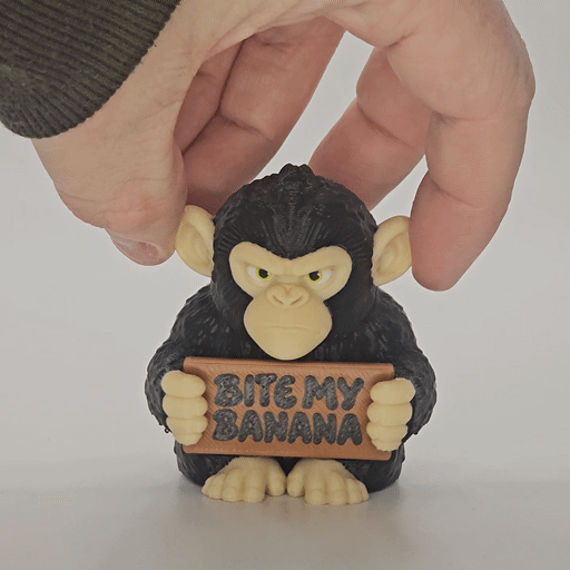 Chimp with Attitude image 7